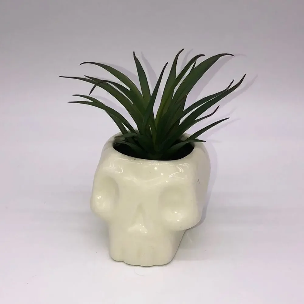 New Target Hyde & Eek 2020 Halloween Skull Planter Faux Succulent Plant